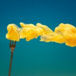 Level Up Your Holidays: Nintendo Switch 2 Meets Pokémon Legends Z-A