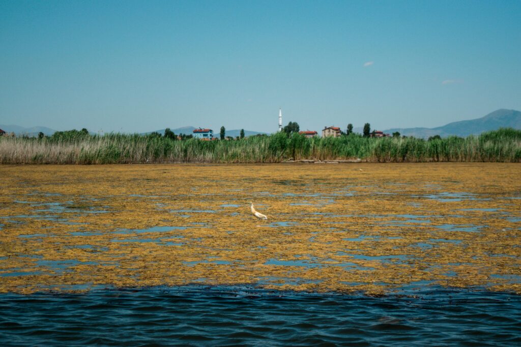 સમૃદ્ધિના પ્રકાશ: 26 જુલાઈ 2025 નું પુણ્યિત પંચાંગ