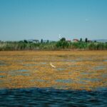 સમૃદ્ધિના પ્રકાશ: 26 જુલાઈ 2025 નું પુણ્યિત પંચાંગ