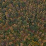 Elevate Your Viewing: August 2025’s Top 4K Blu-ray Picks