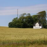 यूरोप की चमक-दमक के पीछे: भारतीय क्यों लौटा रहे हैं अपने जहान में?