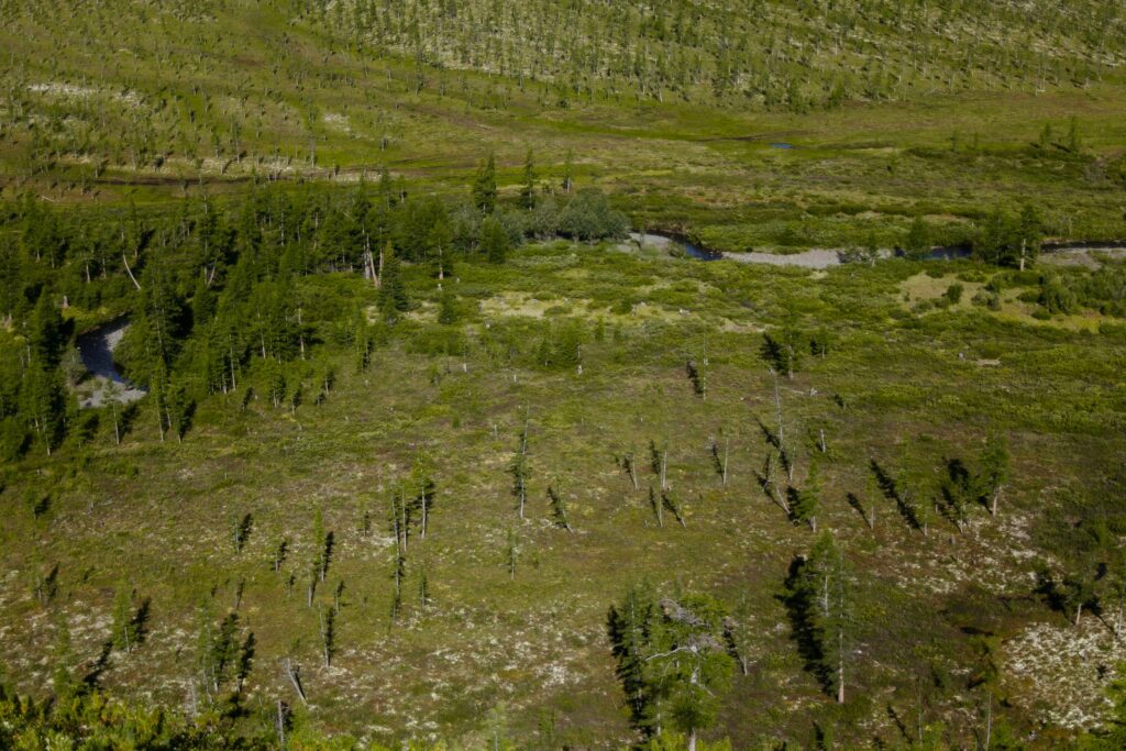 Magnet Alchemy: The Secret Path from Raw Rare Earths to Cutting-Edge Magnets