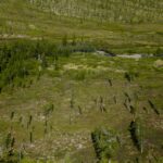 Magnet Alchemy: The Secret Path from Raw Rare Earths to Cutting-Edge Magnets