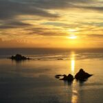 न्यूजीलैंड में बढ़ेंगी भारतीय छात्रों की कमाई: पार्ट-टाइम जॉब नियमों में बदलाव