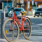 CBSE भर्ती 2025: 27 दिसंबर से पहले करें आवेदन, सरकारी करियर का सुनहरा अवसर