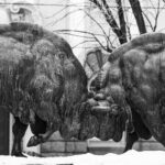 કૃતિક આર્યનની લોકો ભરેલી ચકચાર વચ્ચે માતાની મજા ભરેલી ટિપ્પણી