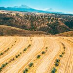 લાલ ગ્લેમરનો જાદુ: Jennifer Lopezની પ્રવેશકા એક્ટર્ની સ્ટેટમેન્ટ