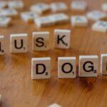 Building Tomorrow: Elon Musk’s Vision for a Self-Growing Moon City