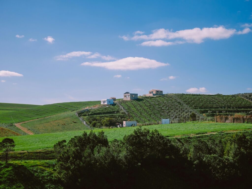 સિન્થિયા એરીવોનો ખુલાસો: આરિયાના ગ્રાન્ડે સાથે ‘લવર્સ’ની અફવાઓ પાછળનું સત્ય