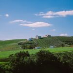 સિન્થિયા એરીવોનો ખુલાસો: આરિયાના ગ્રાન્ડે સાથે ‘લવર્સ’ની અફવાઓ પાછળનું સત્ય