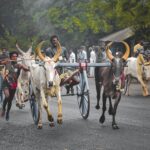 जालन्धर में दिल्ली-अमृतसर मार्ग पर 90 मिनट का ट्रैफिक जाम: आपातकालीन सेवा ठहरी