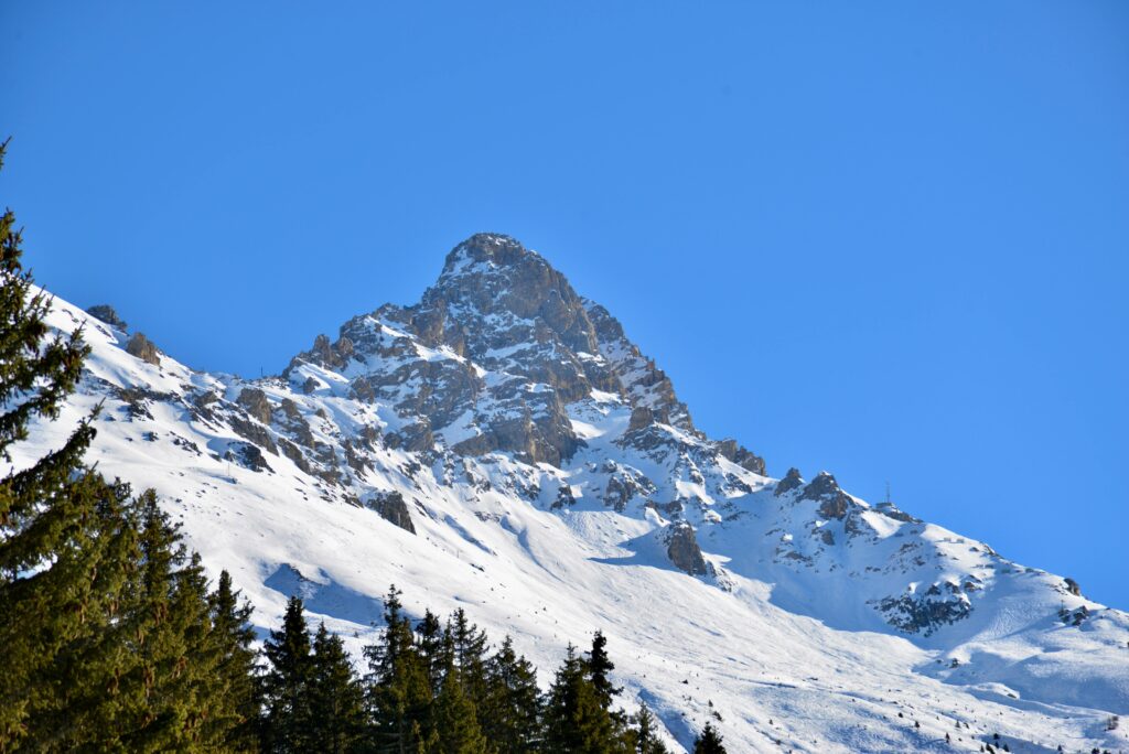 ટૉલિવૂડની ઝગમગાટ: અલ్లు સિરિષ–નયનિકા રેડ્ડીનું પ્રી-વેડિંગ રિસેપ્શન