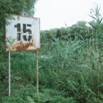 When Discounts Disappear: How Apple’s Incentive Cut Could Lift Older iPhone Prices in India