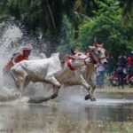 બોની કપૂરનો ખુલાસો: ‘રૂપ કી રાણી ચોરોન કા રાજા’ નિષ્ફળતા પર સતીષ કૌશિકની અનોખી પ્રતિસાદ યાત્રા