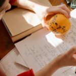 गर्मी, देरी और गणित: बिलासपुर व्यापमं परीक्षा में 9144 अनुपस्थितियों की पड़ताल