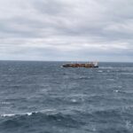 When International Waters Turn Red: A DH Toon Perspective