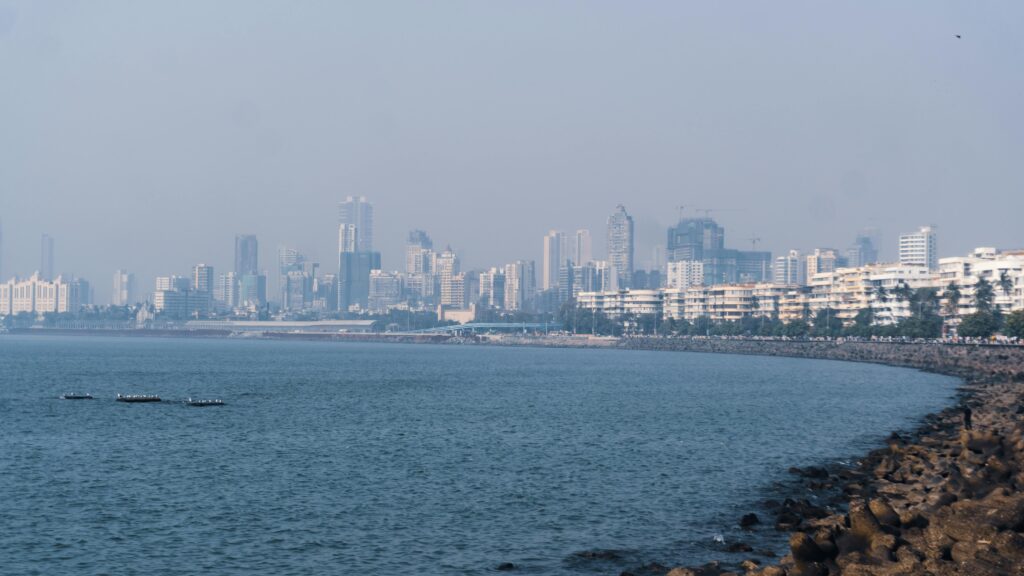 સાનપાડામાં પાલ્મ બીચ રોડ નીચેનો ટનલ: ઝાડોને બચાવવાનો સંઘર્ષ