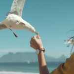 Tranquility in Ashes: Diving into Birds Watching’s PS5 Launch Trailer