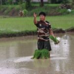 Nepal Floods and Climate Change: The Himalayan Warning the World Can No Longer Ignore