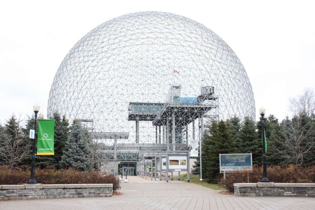 How the Sun’s Living Energy Echoes Through Earth’s Biosphere