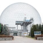 How the Sun’s Living Energy Echoes Through Earth’s Biosphere